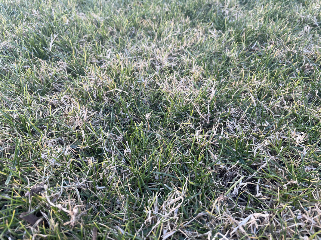 9DC479BA-4D86-42D1-9F29-907598433791