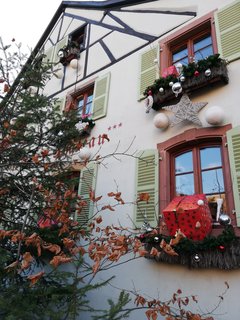 ALSACIA EN NAVIDAD VISITANDO MULHOUSE, ALKIRCH, EGUISHEIM Y TURCKEIM - Puente de la Inmaculada 2022 en Alsacia (41)