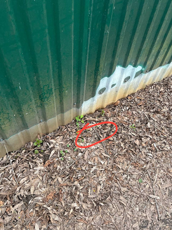 IMG 20260408 182445 292