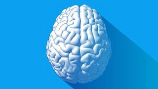 Neuroplasticity The Ultimate Program To Rewire Your Brain Neuroplasticity The Ultimate Program To Rewire Your Brain