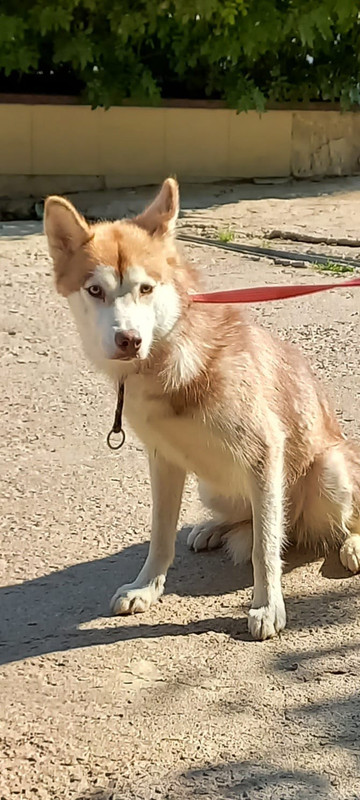 WhatsApp Image 2022-08-05 at 15.30.52 (1)