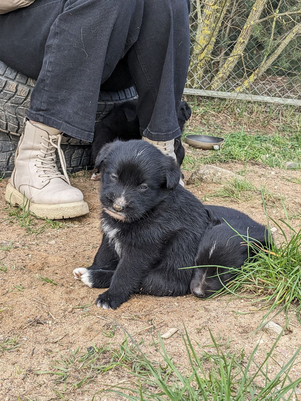 photo_2024-04-23_22-47-38 (2)
