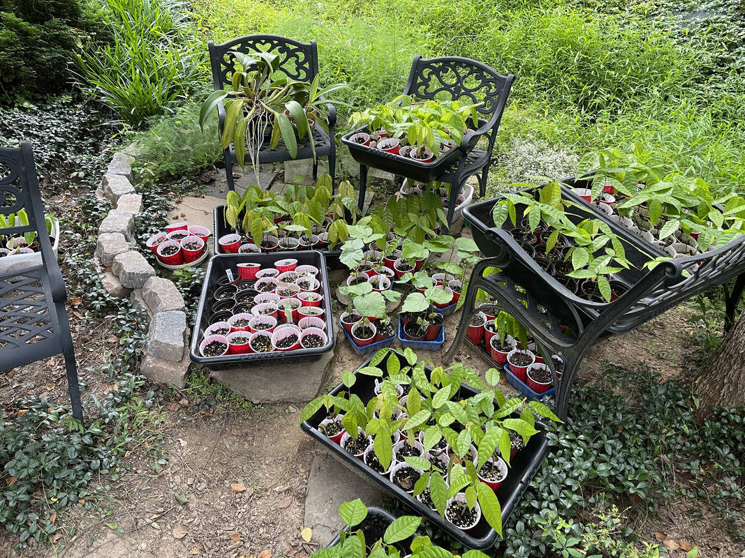 3FE4CF2F-1842-46DA-BE15-7246D2BBAA54