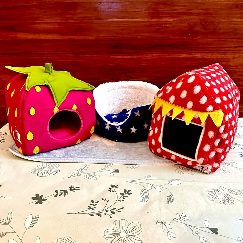 Fun Pet Accessories