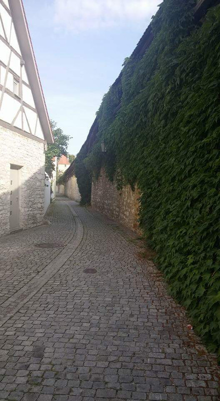 FB_IMG_1471362070072