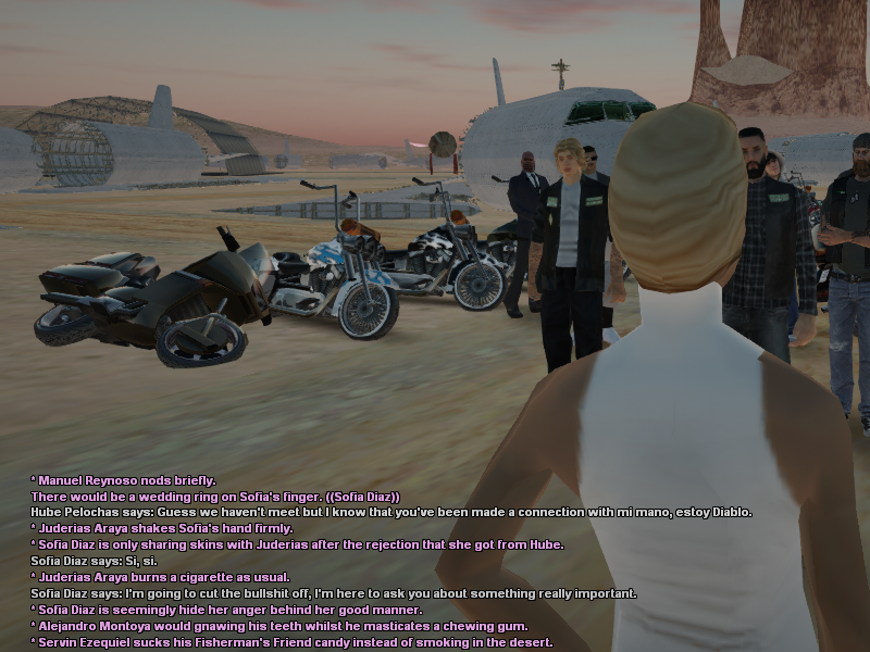 SSRoleplay665.png