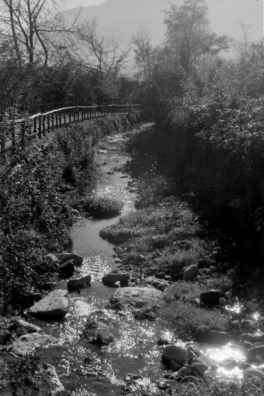 Leica II_28oct2021_12_1 (682x1024)