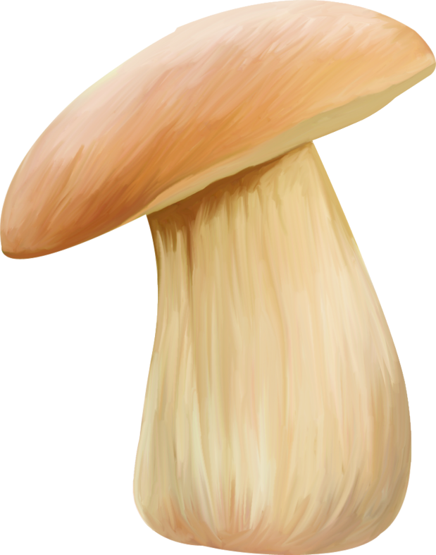 Pumpkinfairykitpudnmushroomss3