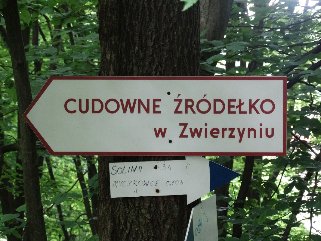 058 - DSC01111 (johny)