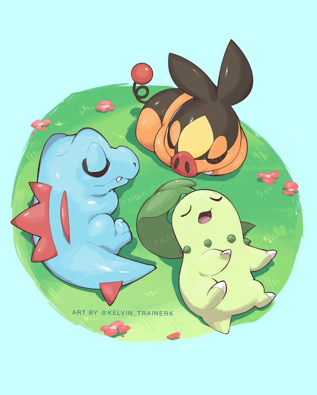 chikorita-tepig-and-totodile-pokemon-dra