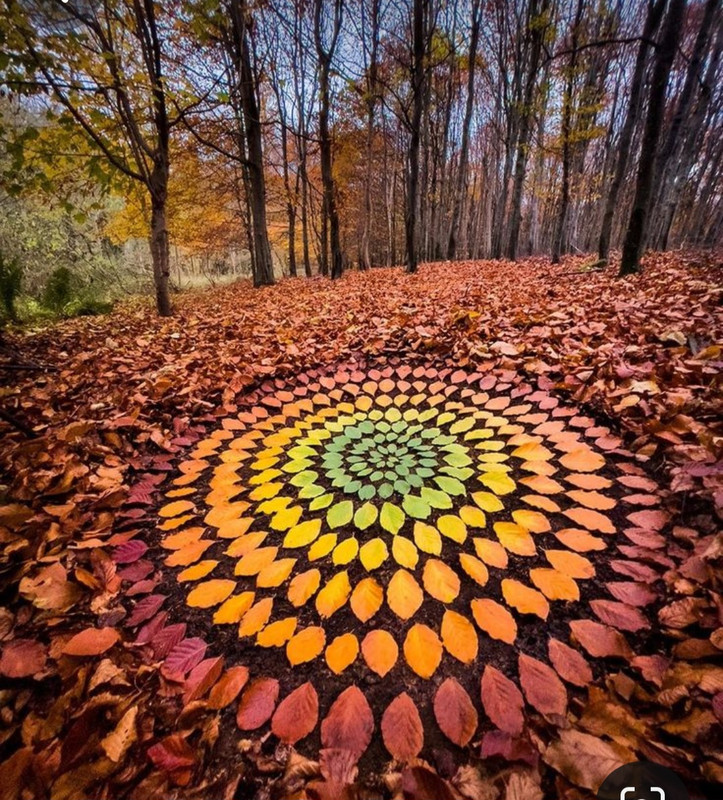 Screenshot_20231112_231854_Pinterest