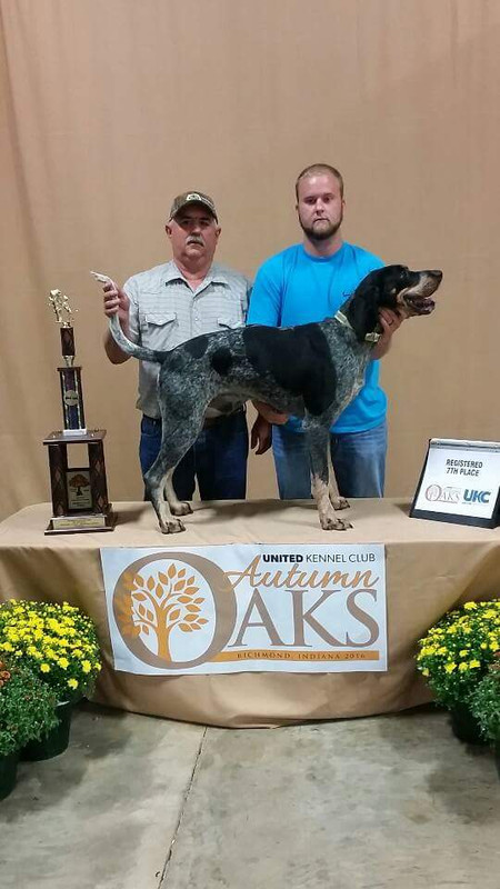 03A4744F-1CD8-41F7-A45D-0CE25AE32C8E