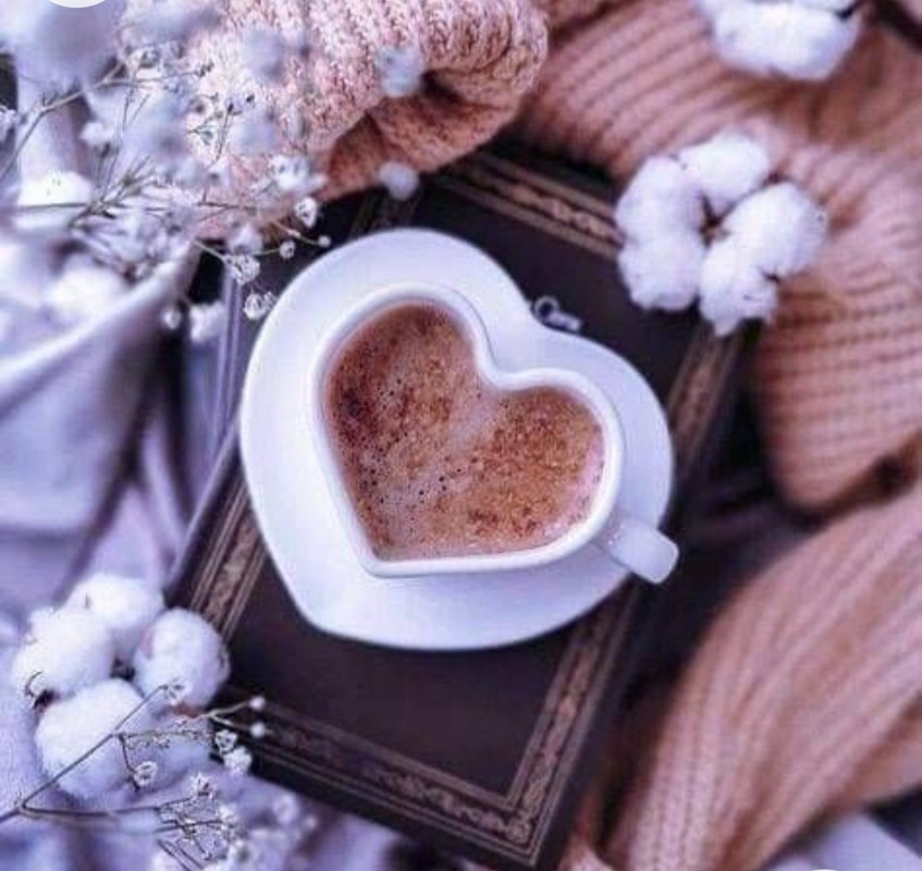 Screenshot_20221213-210609_Chrome