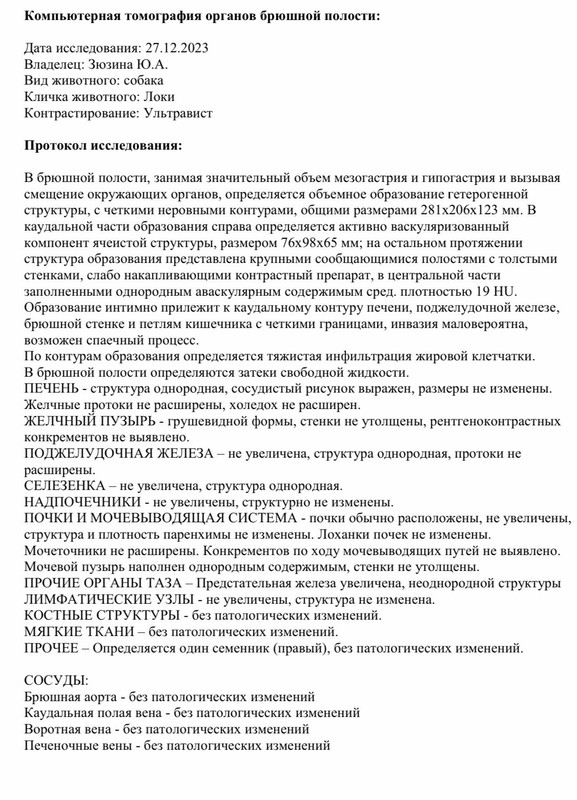 кт локи (1)