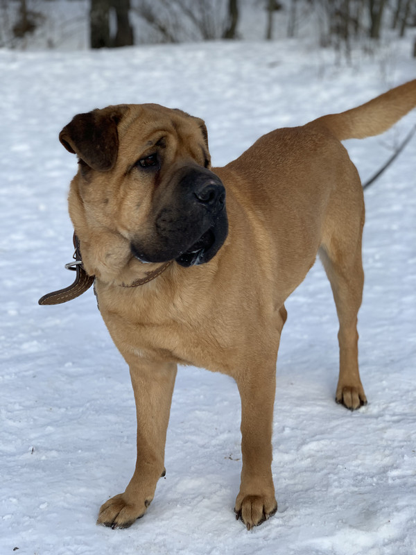 AA200E43-2935-4A0D-A316-BADD8EC5B3F9