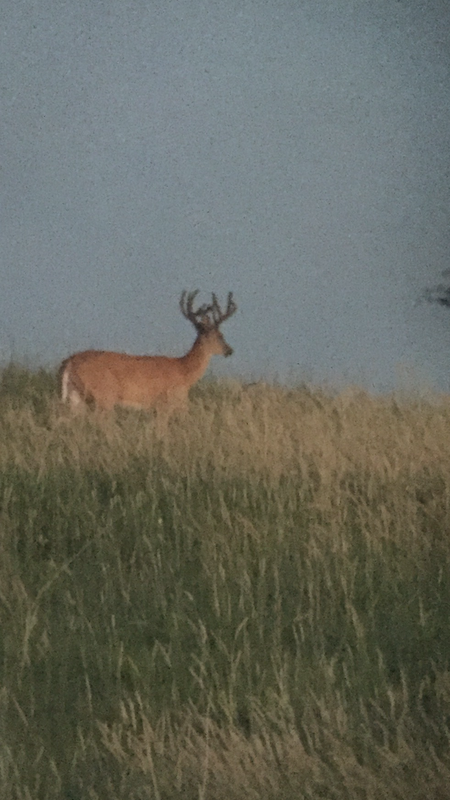 558CD7EB-F31C-4BAE-A666-FA96C4E5FBBE