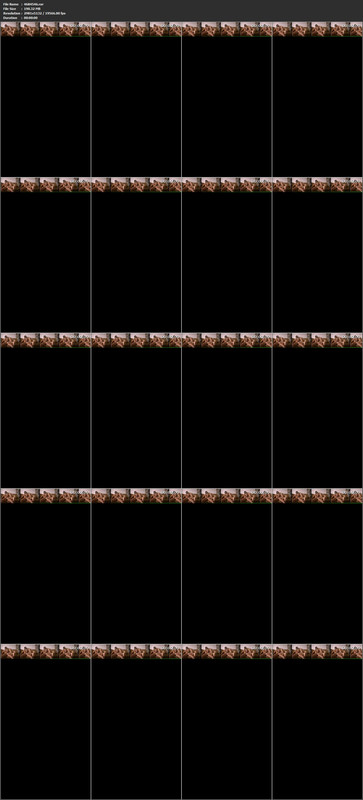 20092023205404screenshot