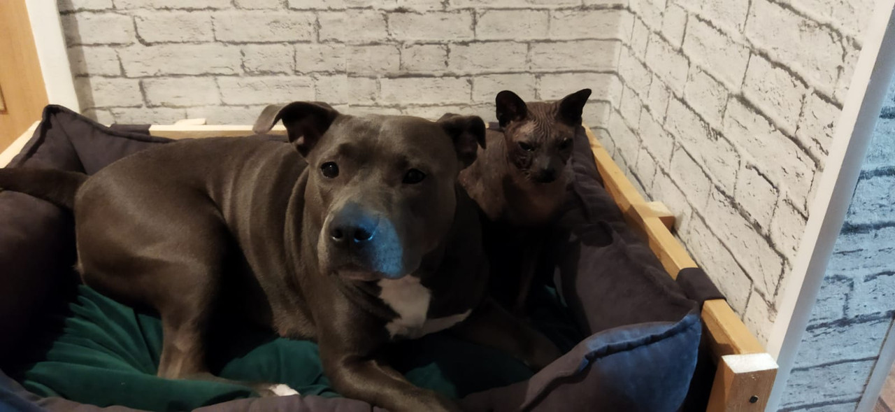 A293E877-715D-42F6-8221-E7412273785E