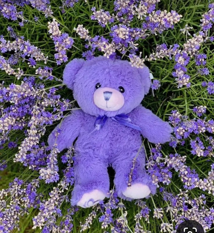 Screenshot_20240405_224531_Pinterest