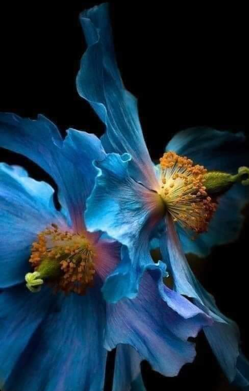 Screenshot_20230715-143529_(1)