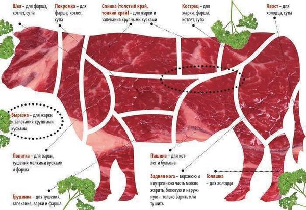 О ПОЛЬЗЕ И ВРЕДЕ МЯСА О ПОЛЬЗЕ И ВРЕДЕ МЯСА