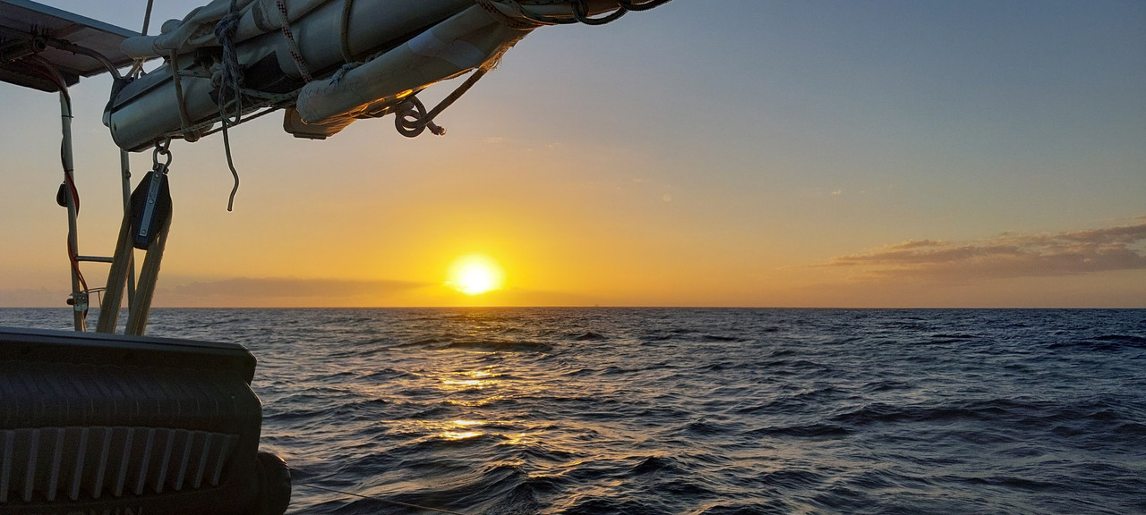 [Imagen: 20251104-070424.jpg]