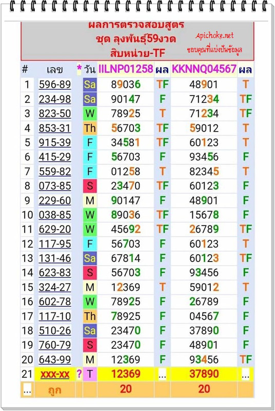 43185941_1972602476111449_737386420900986880_n