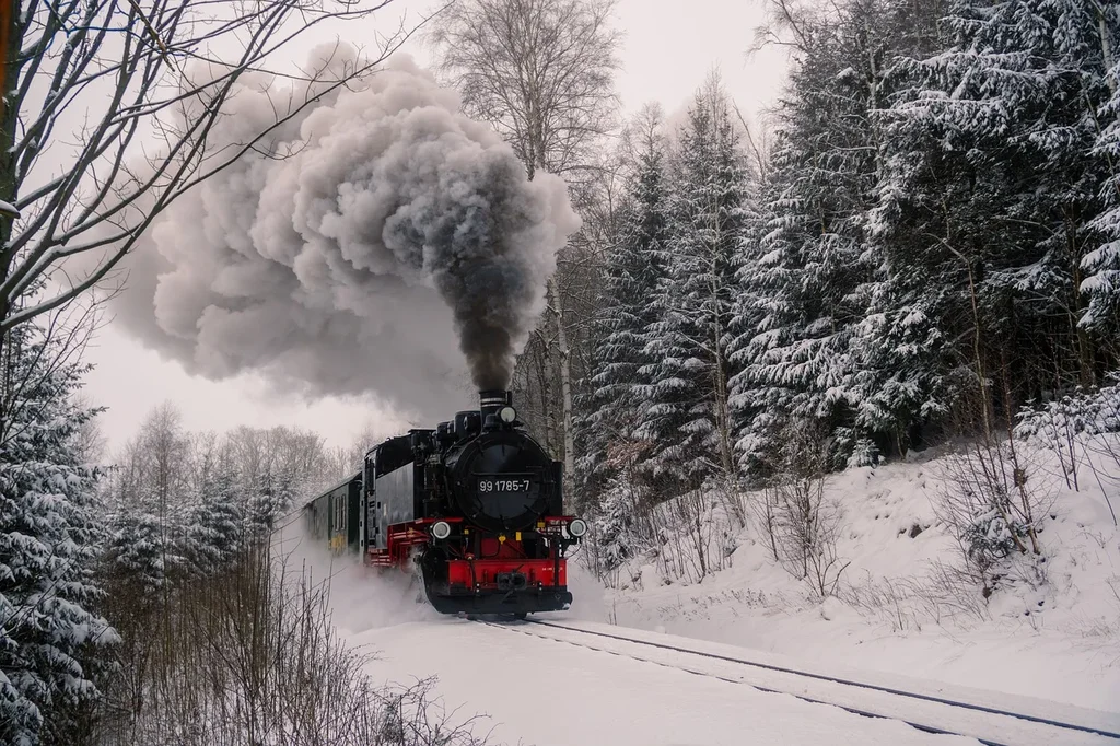 B-W-train.webp