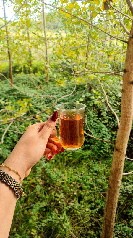 ۲۰۲۴۱۱۱۵_۱۷۱۴۵۲