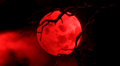 IMG-8368.gif