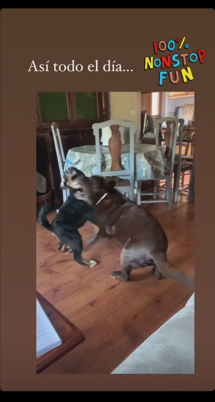 Screenshot_20210112_160934