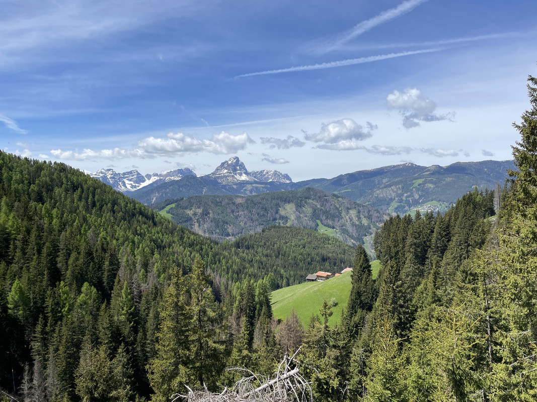 IMG_3036