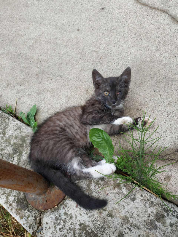 изображение_viber_2019-06-13_15-04-44