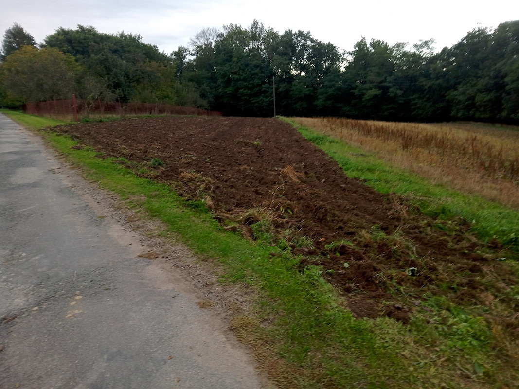 IMG_20240930_175927_MP