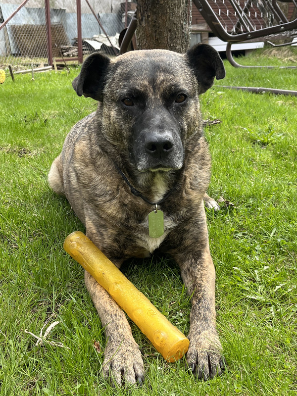 3658D20C-918C-4D0B-B85C-A55923BC33B4