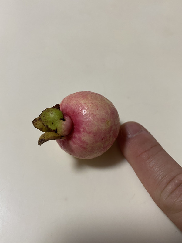 9CFBFE9D-4973-434B-A7F2-36AAB159EFC7