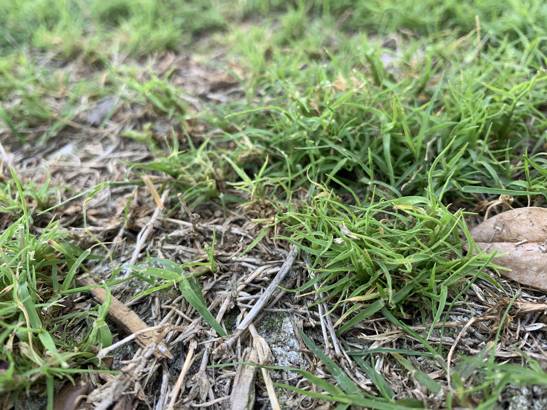 11662C47-4433-4A8E-876B-E986D134E51E