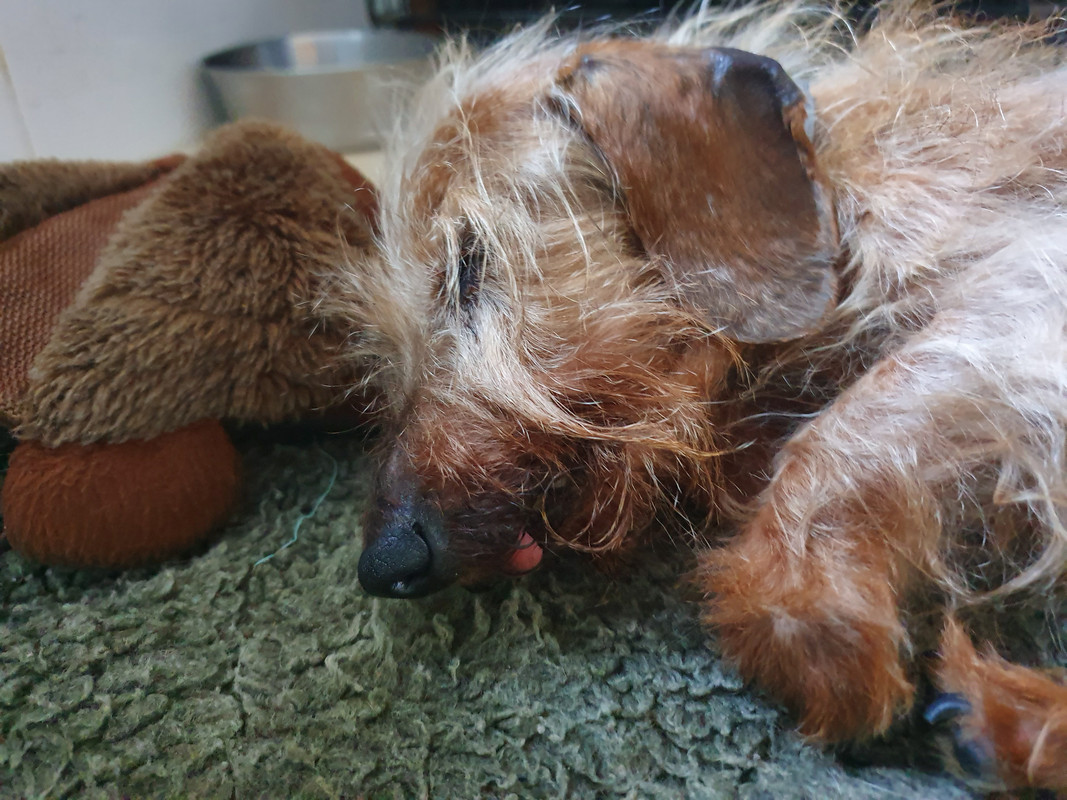 [Image: 20220429-152628.jpg]