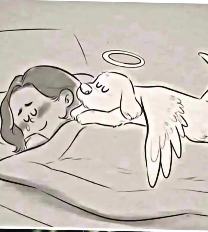 [Image: B4-E21-EE4-FDE9-4-C27-ADA8-1-CFEC18-B5-FCC.jpg]