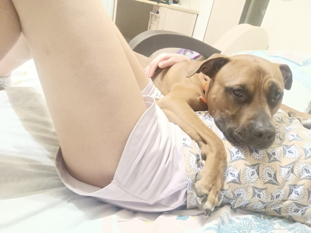 435E21E8-495B-4DA3-AB0E-A40CD3942C32