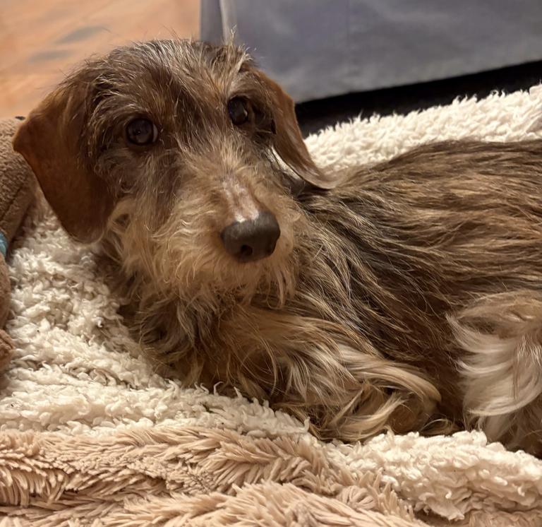 [Image: IMG-0792.jpg]