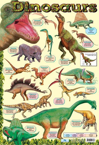 189953a388bcfddd598127f7b9f33fde