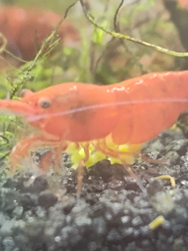 IMG 20260208 104725080