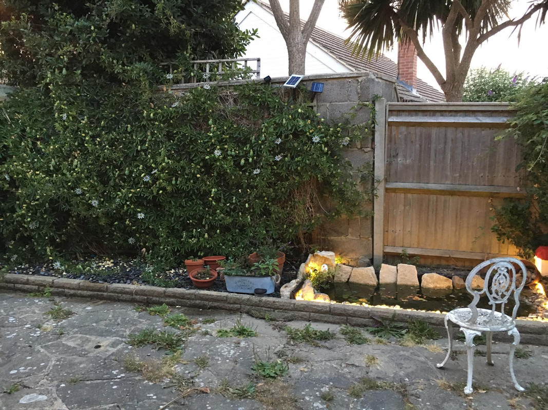 37839758_10156464404522457_5549621590708191232_o