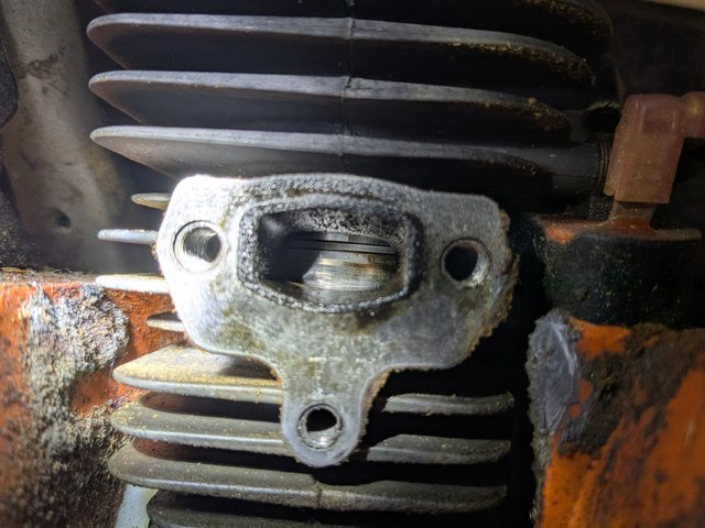 PXL_20250109_111105721