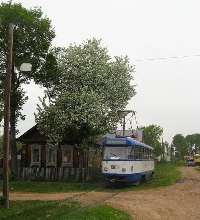 schatzichbinzuhause-0.jpg