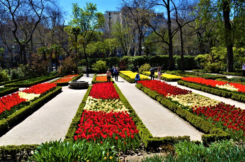 JARDIN BOTANICO-13-4-2013-MADRID - Paseando por España-1991/2017 (29)