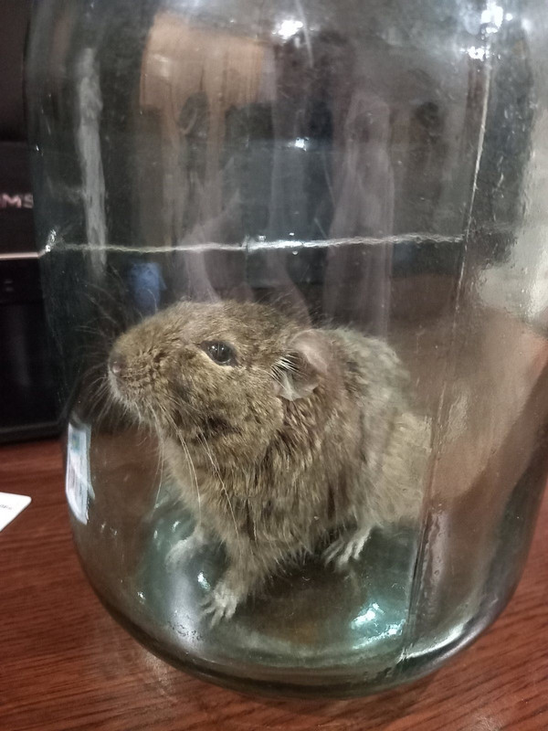 3D565636-008C-4953-8879-158D5465A785