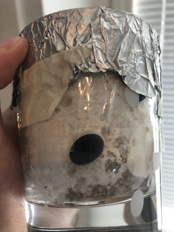 CFAF643A-5A1C-45D0-932A-ACE69F7DBC5D