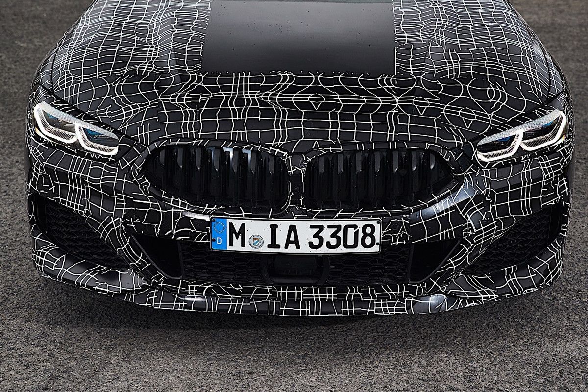 BMW 8 Series Coupe (41)